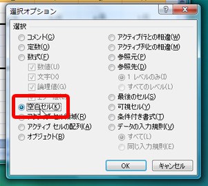 空白のセルだけが選択された状態になりました。この状態でデータを入力して、Enter を押すと、カーソルが次の空白セルへとジャンプしていきます。